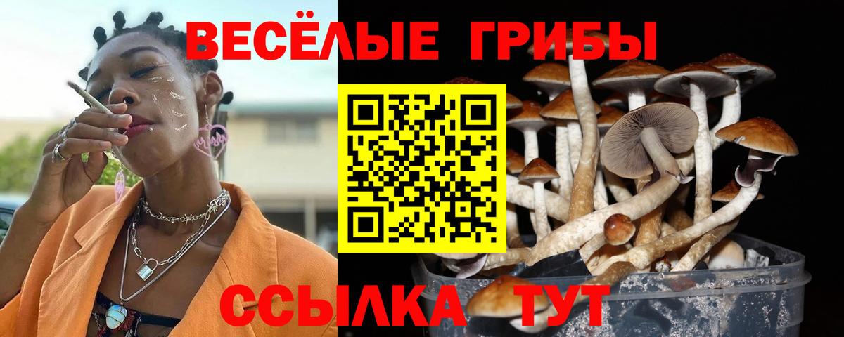 Нововоронеж  Псилоцибиновые грибы MAGIC MUSHROOMS  Галлюциногенные грибы мухоморы  Вход с VPN 